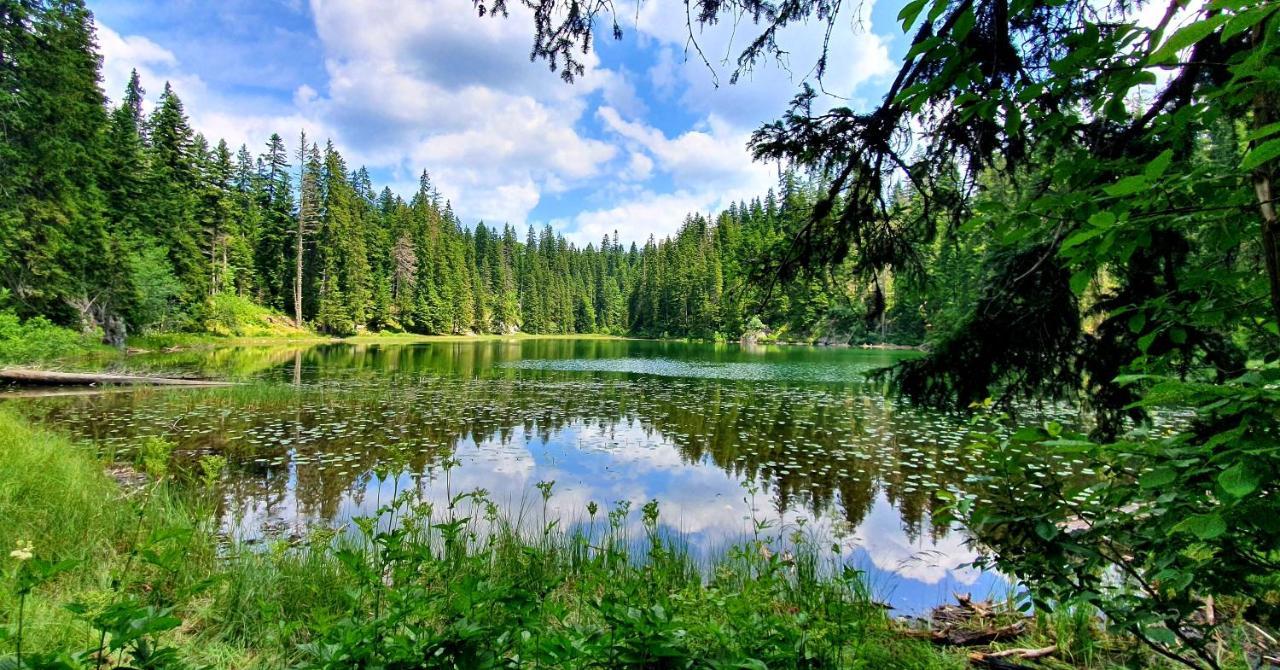Hedonist Village Жабляк Экстерьер фото